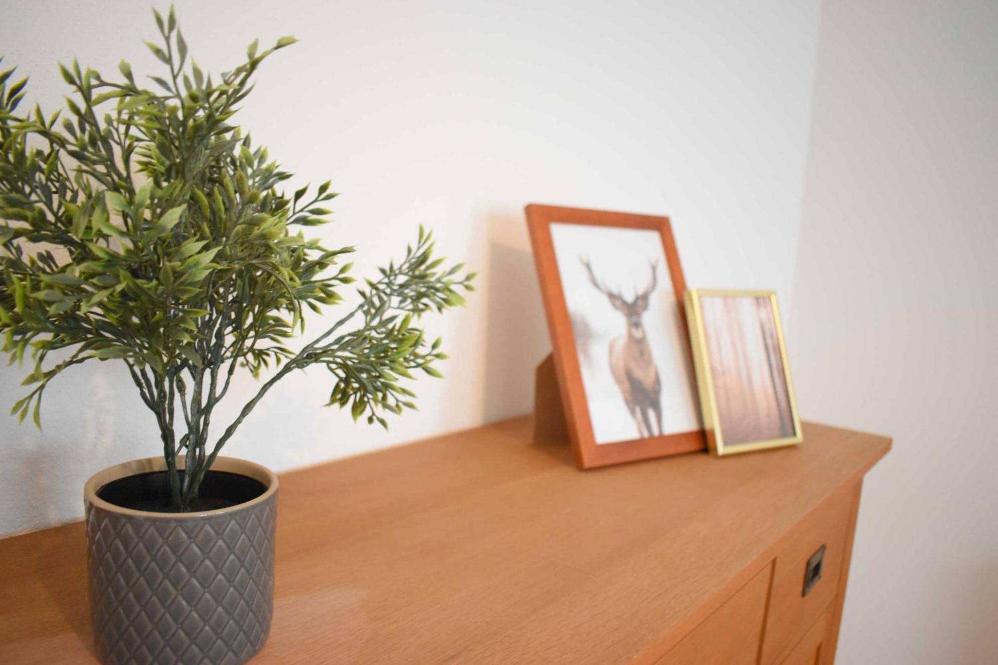 Unter-Sensbach Ob Ferienwohnung Sensbachtal מראה חיצוני תמונה